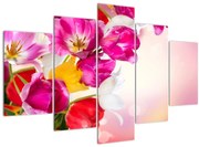 Obraz tulipánov (150x105 cm)