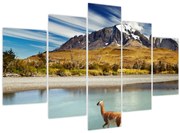 Obraz - Národný park Torres del Paine (150x105 cm)
