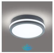 Brilagi - LED Vonkajšie svietidlo so senzorom BENE LED/18W/230V pr. 22 cm IP54 BG0920