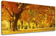 Obraz na stenu PANORÁMA STROMY | rôzne rozmery