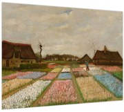 Obraz - Vincent van Gogh, Flower Beds in Holland, reprodukcia (70x50 cm)