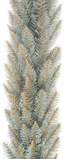 Vianočná girlanda Smrek Strieborný 100cm