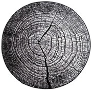 TZ Okrúhly vzorovaný koberec Neo Rozmer: 90 cm