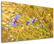 Obraz na stenu KVETY | rôzne rozmery