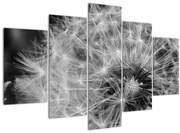 Obraz - páperie púpav (150x105 cm)