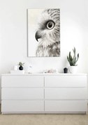 Obraz na plátne SOVÍ POHĽAD | rôzne rozmery