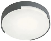 Redo 90005 - LED Stropné svietidlo SKOR 1xLED/16W/230V IP54