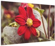 Obraz kvetiny (90x60 cm)