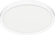 Stropné LED svietidlo Maq, 1x LED 24w, 3000-6500k, w
