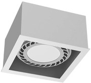 Brosline 1272 - Bodové svietidlo CAGE 1xGU10/18W/230V biele