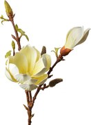 Dekorácia umelá vetvička Magnólie so žltými kvetmi - 17*11*70 cm