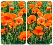 WENKO 2521434500-Krycia doska ABDECKPLATTE - KVET/RASTLINA 30x52 cm pestrofarebná