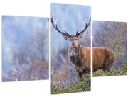 Obraz - Jeleň v krajine (90x60 cm)