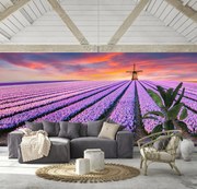 Fototapeta - Levanduľové pole (147x102 cm)