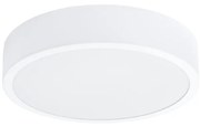 Stropné LED svietidlo Onyx 30, 1x LED 23w, 3000k, w