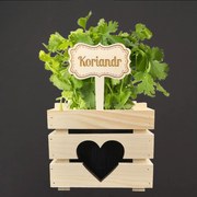 AMADEA Drevený zápich - ceduľka na bylinky Koriander, výška 20 cm, český výrobok