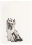 Bavlnená utierka 70x50 cm Farm - Tiseco Home Studio