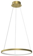 LED Luster na lanku HOOP LED/27W/230V pr. 50 cm 4000K zlatá