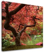 Obraz na stenu STROMY | rôzne rozmery