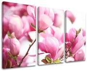 Obraz na stenu KVETY | rôzne rozmery