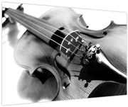 Obraz - Husle (90x60 cm)