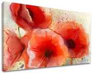 Obraz na stenu KVETY | rôzne rozmery