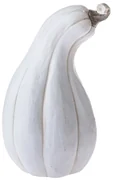 Jesenná dekorácia Tekvička oválna biela, 27 x 42,2 x 23,7 cm, Mg