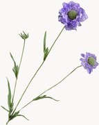 Rastlinné dekorácie Scabiosa, 2 ks