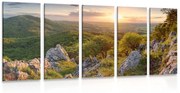 5-dielny obraz príroda zaliata slnkom