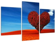 Obraz - Srdce zo stromu (90x60 cm)