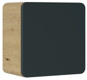 Koupelnová závěsná skříňka Aruba 831 1D dub craft zlatý/vesmírně šedá mat