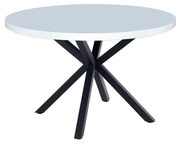 Jedálenský stôl MEDOR, biela