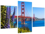 Obraz - Golden Gate Bridge, San Francisco (90x60 cm)