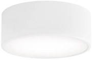 Brilagi - Stropné svietidlo CLARE 1xE27/40W/230V pr. 20 cm biela