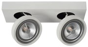 Lucide 09920/20/31 - LED Stmievateľné bodové svietidlo NENAD AR111 G53/2x10W/18V