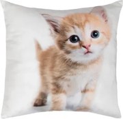 Dekoračný vankúšik Ryšavé mačiatko, 25x25 cm%