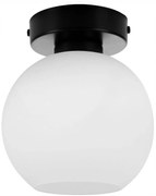 Stropné svietidlo Eliza, 1x biele sklenené tienidlo (výber z 2 farieb konštrukcie)