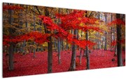 Obraz - Červený les (120x50 cm)