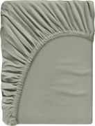 XXXLutz NAPÍNACIA PLACHTA, sivozelená, 160/220 cm Dieter Knoll - Obliečky & plachty - 004550011903