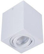 Bodové svietidlo SIN 1xGU10/50W/230V biela