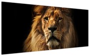 Obraz - Lev s bohatou hrivou (120x50 cm)