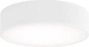 LED Stropné svietidlo CLEO LED/24W/230V 3000K pr. 30 cm biela