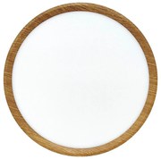 LED stropné svietidlo LED/24W/230V 3000/4000/6500K pr. 30 cm béžové