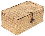 Úložný box TALULAH naturálny 994719