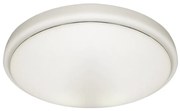 Stropné LED svietidlo Pepe, 1x LED 10w, 4000k, w
