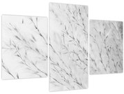 Obraz - Pampas grass N⁰2 (90x60 cm)