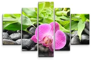 Sablio Obraz - 5-dílný Ružová Orchidea - 125x90 cm