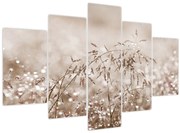 Obraz - Lúka v hnedých tónoch (150x105 cm)