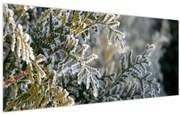 Obraz - Detail vetvy (120x50 cm)