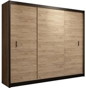 Skriňa Multi 250 craft/čierna